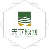 正在操屄